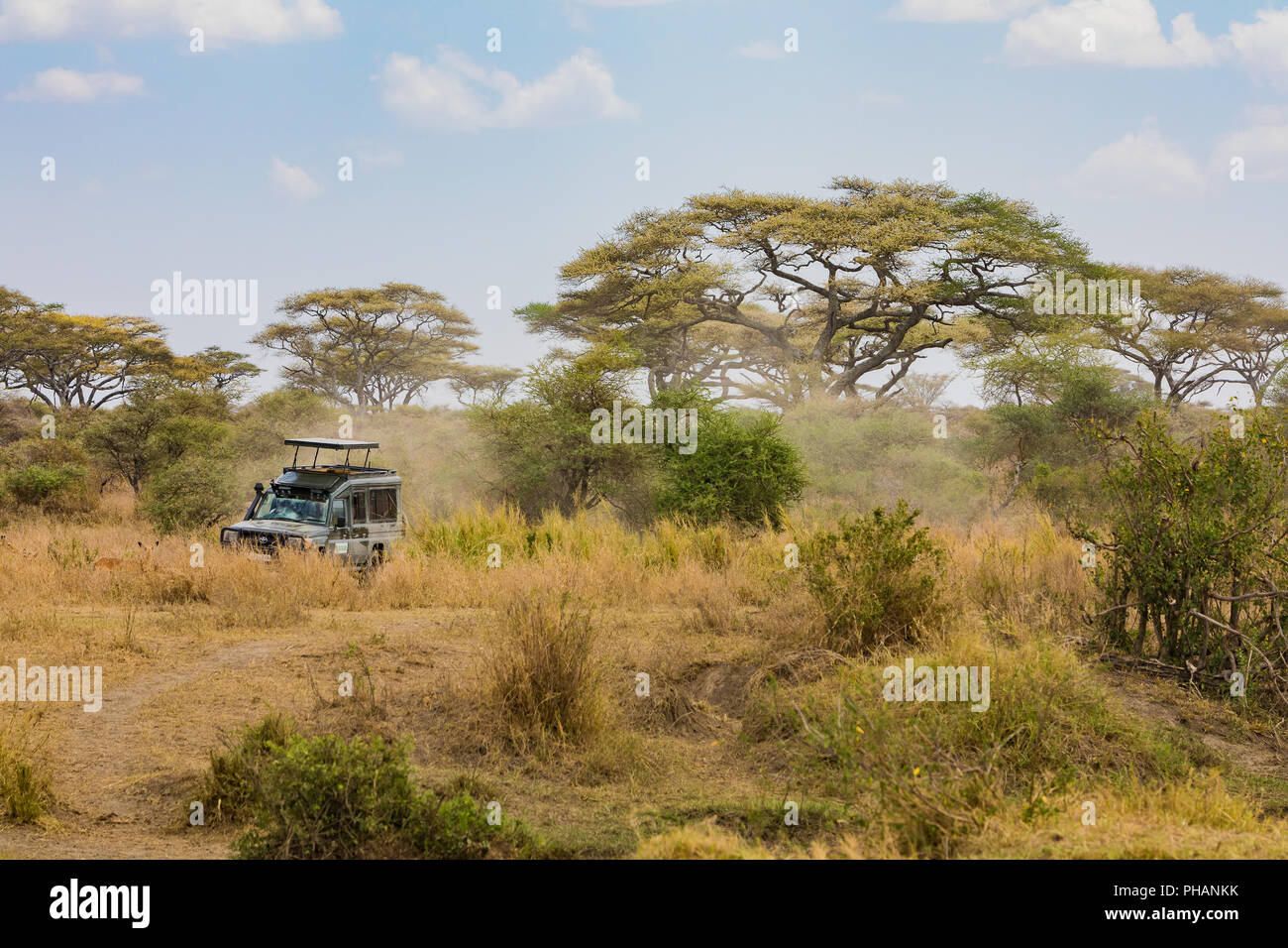 Il Jeep Safari nel Parco Nazionale di Tarangire e Foto Stock