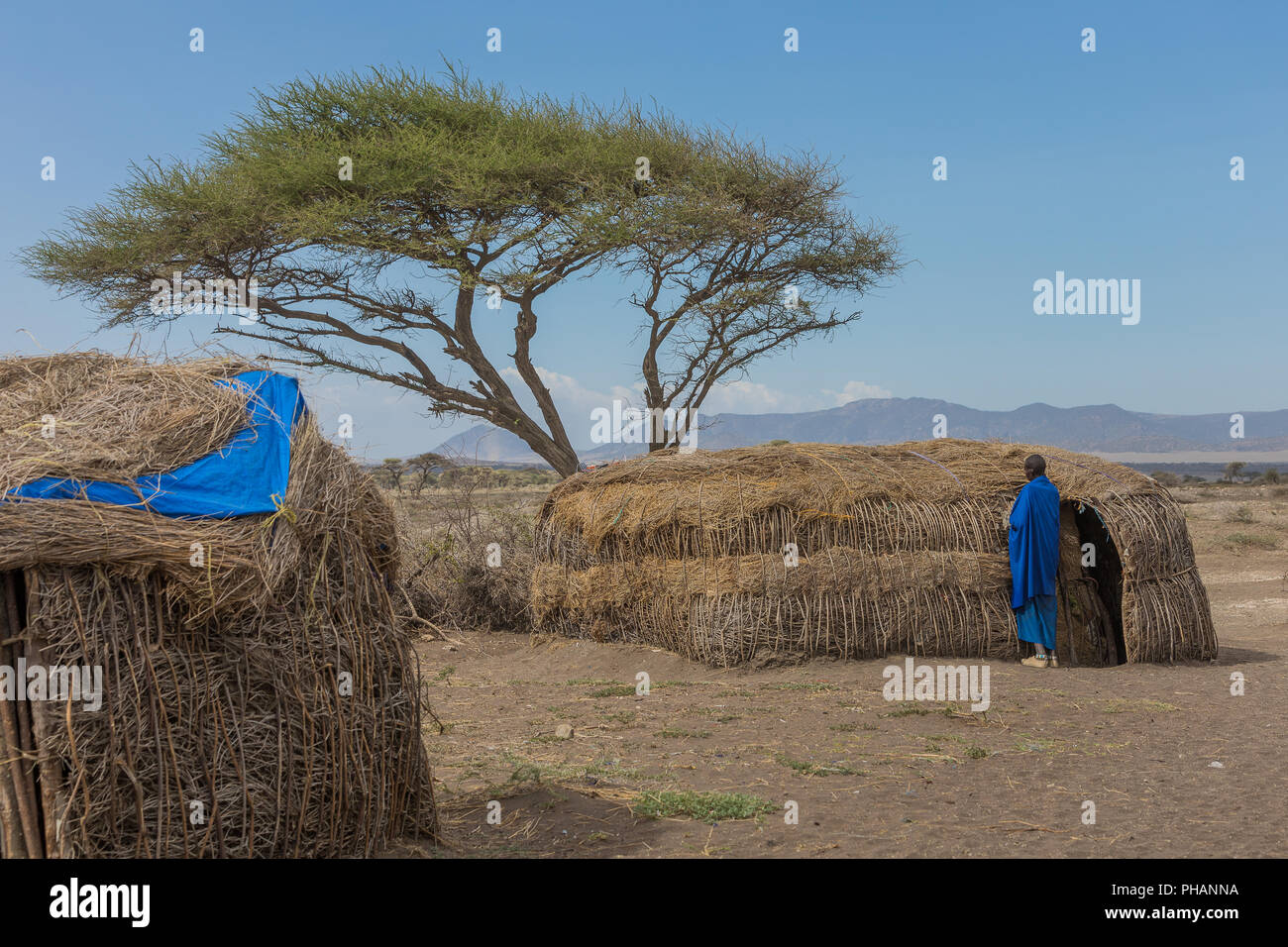 Massai hut nel cratere di Ngorongoro, santuario Foto Stock
