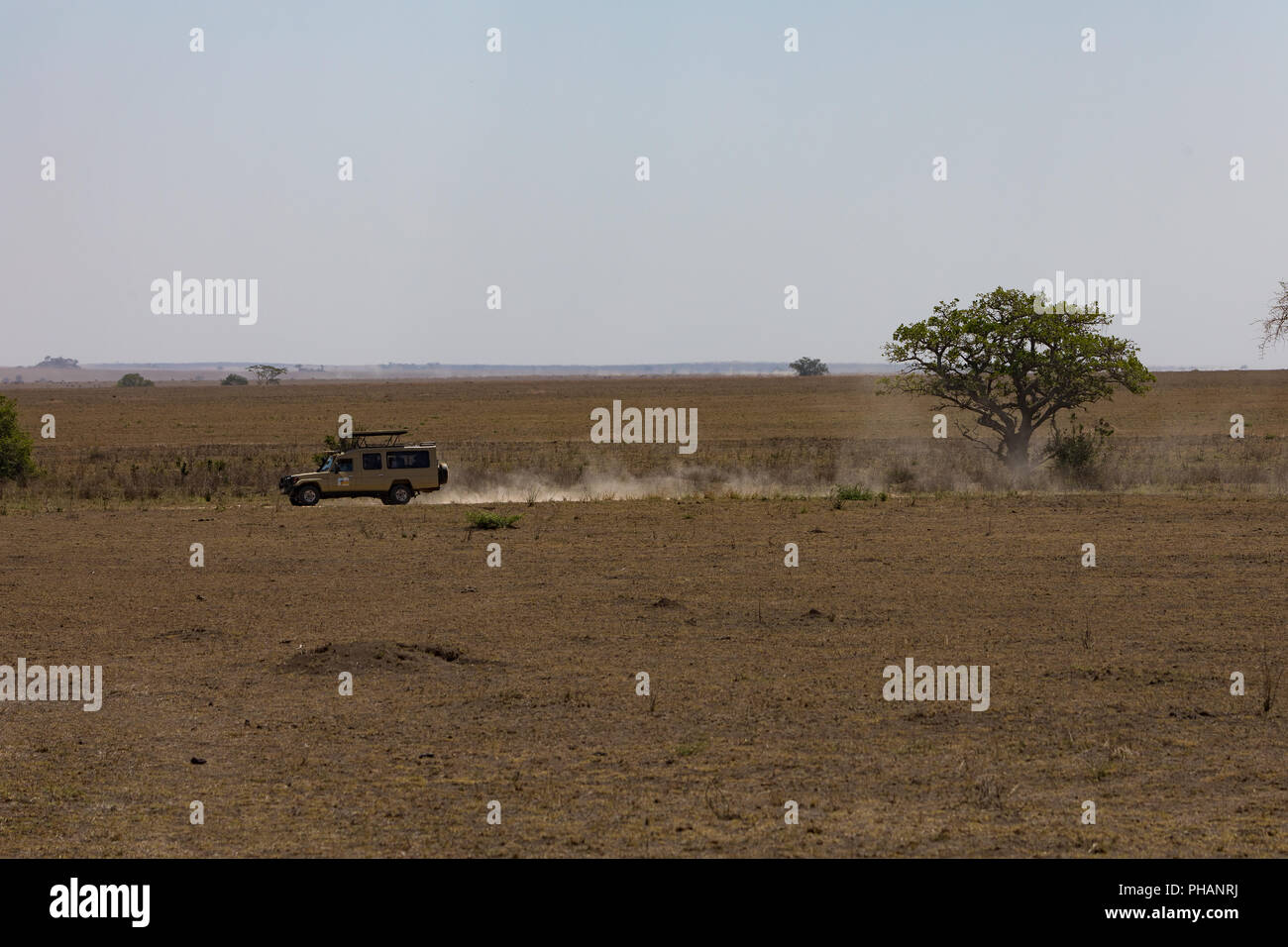 Il Jeep safari nel Serengeti National Park Foto Stock