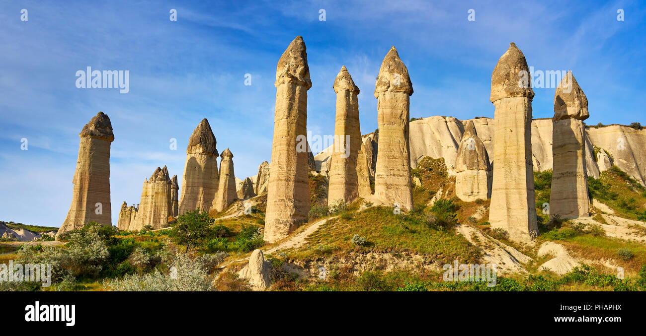 Formazione di roccia in Love Valley, Cappadocia, Goreme National Park, Turchia Foto Stock