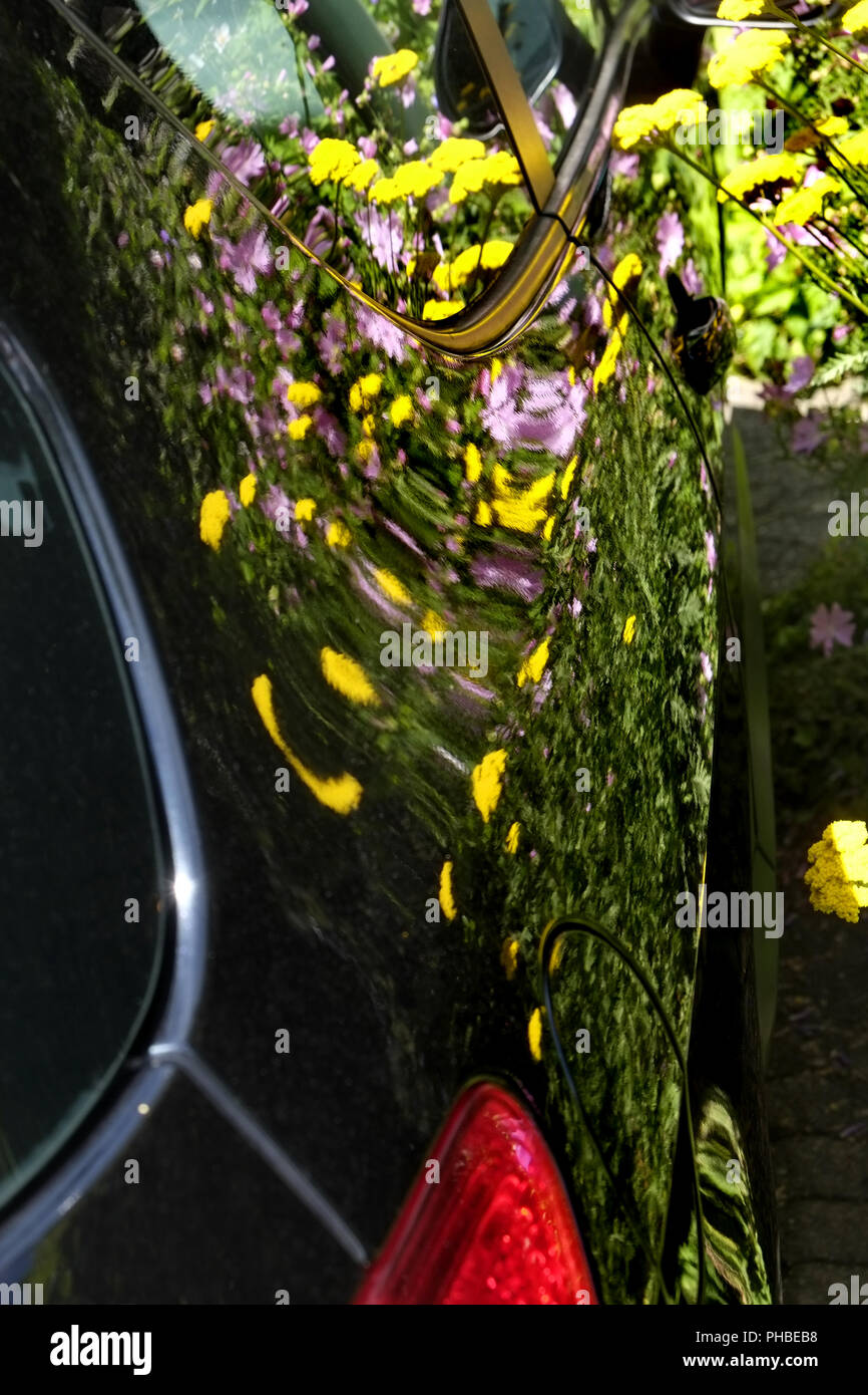 La riflessione in vernice dell'auto Foto Stock