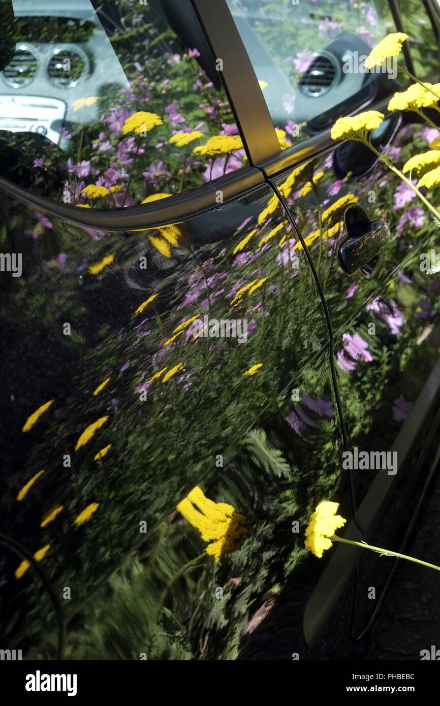 Lucida vernice per auto con riflessioni Foto Stock