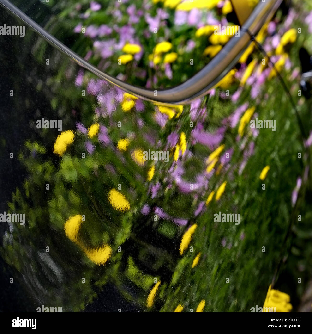 La riflessione in vernice dell'auto Foto Stock