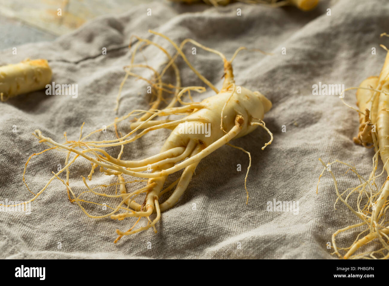 Raw sano organico di radice di ginseng pronto per l'uso Foto Stock