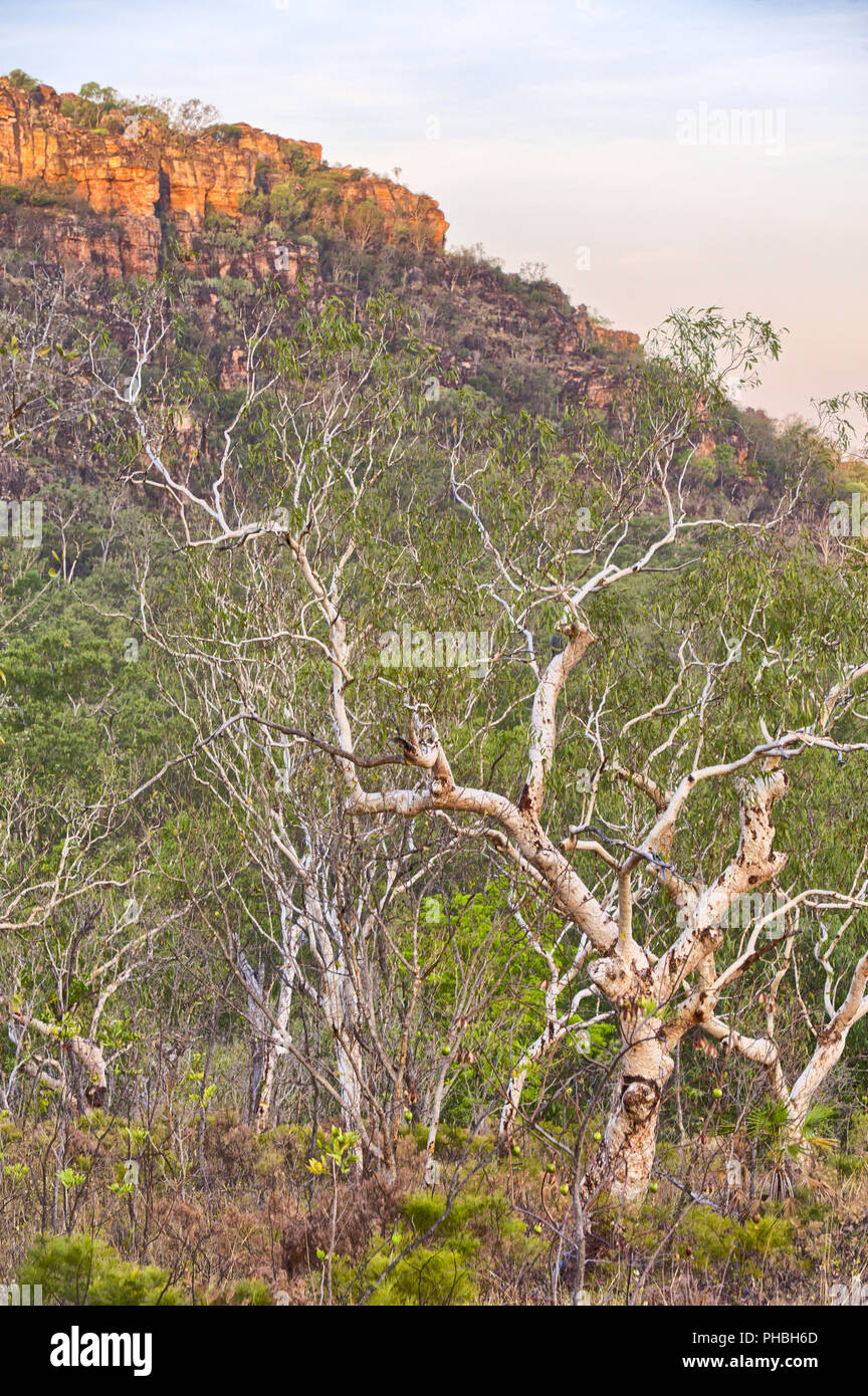 Nourlangie Rock, Australia Foto Stock