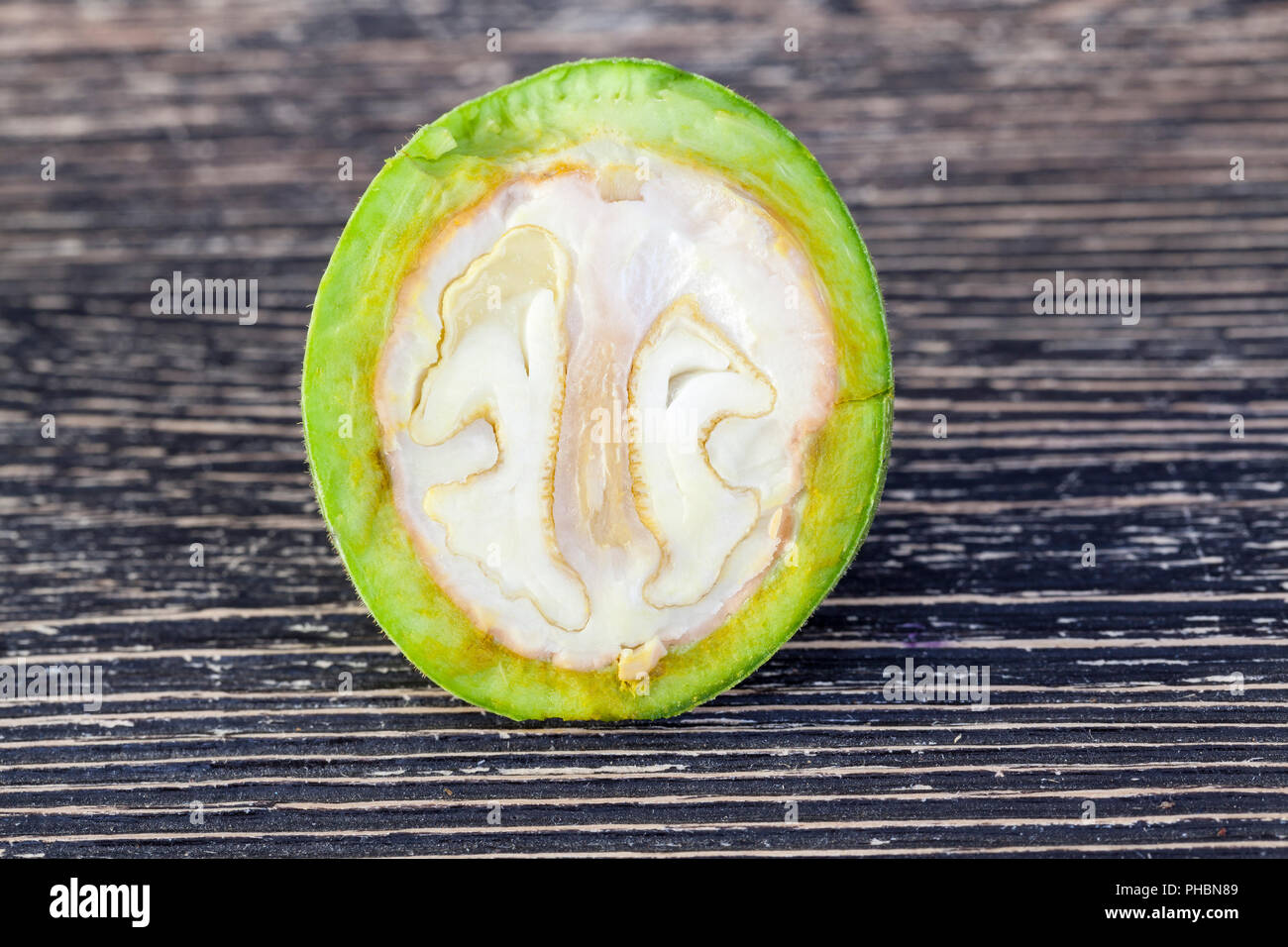 Un rompe grossolanamente e tagliare noce verde con un frutto non sagomata, metà del dado mostra la sua futura struttura Foto Stock