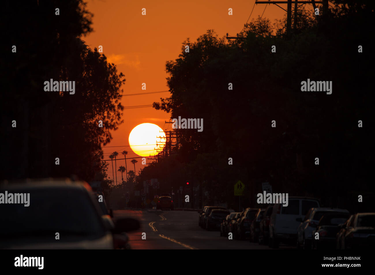 Sole pieno impostazione Foto Stock