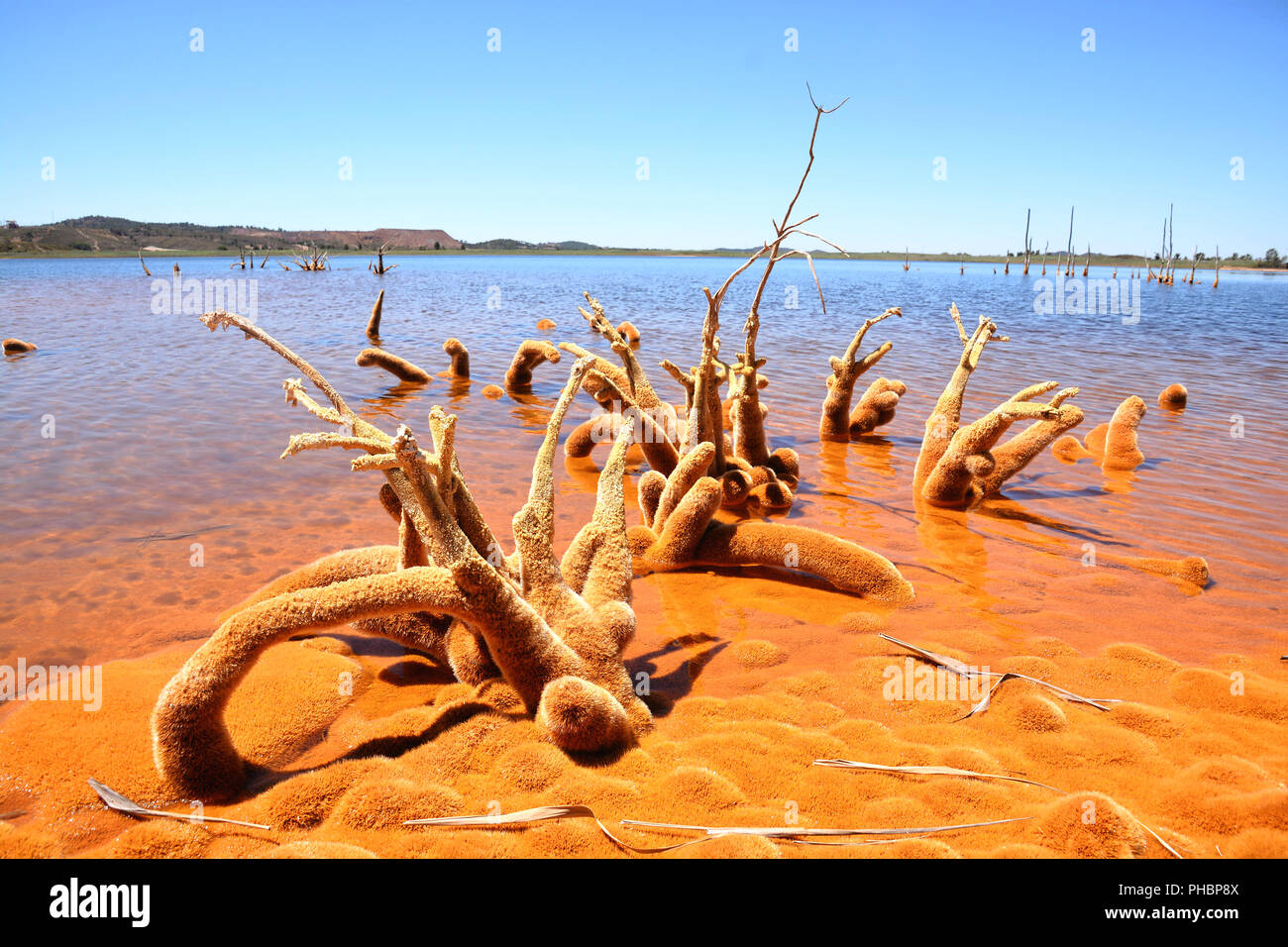 Rosso lago inquinato Foto Stock