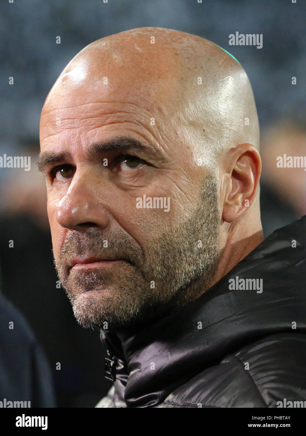 Coach Peter Bosz ( Borussia Dortmund) Foto Stock