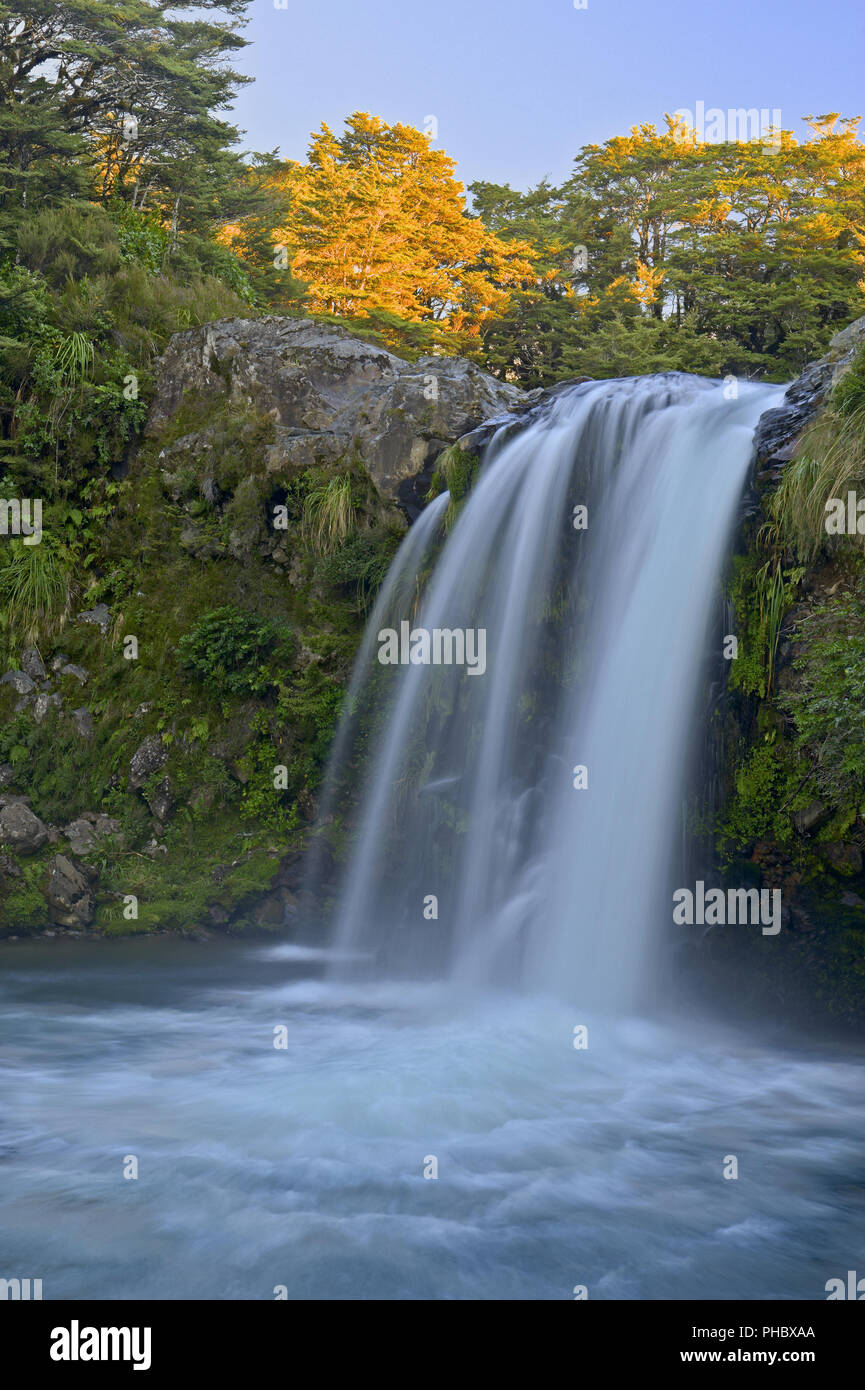Tawahi scende, il Parco nazionale di Tongariro Foto Stock