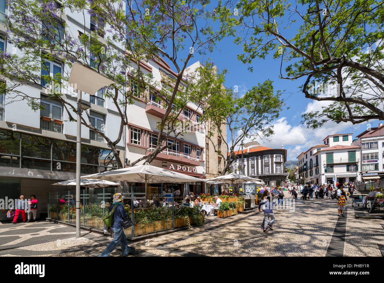 Vista al fresco e caffè e ristoranti nel centro della città, Funchal, Madeira, Portogallo, Atlantico, Europa Foto Stock