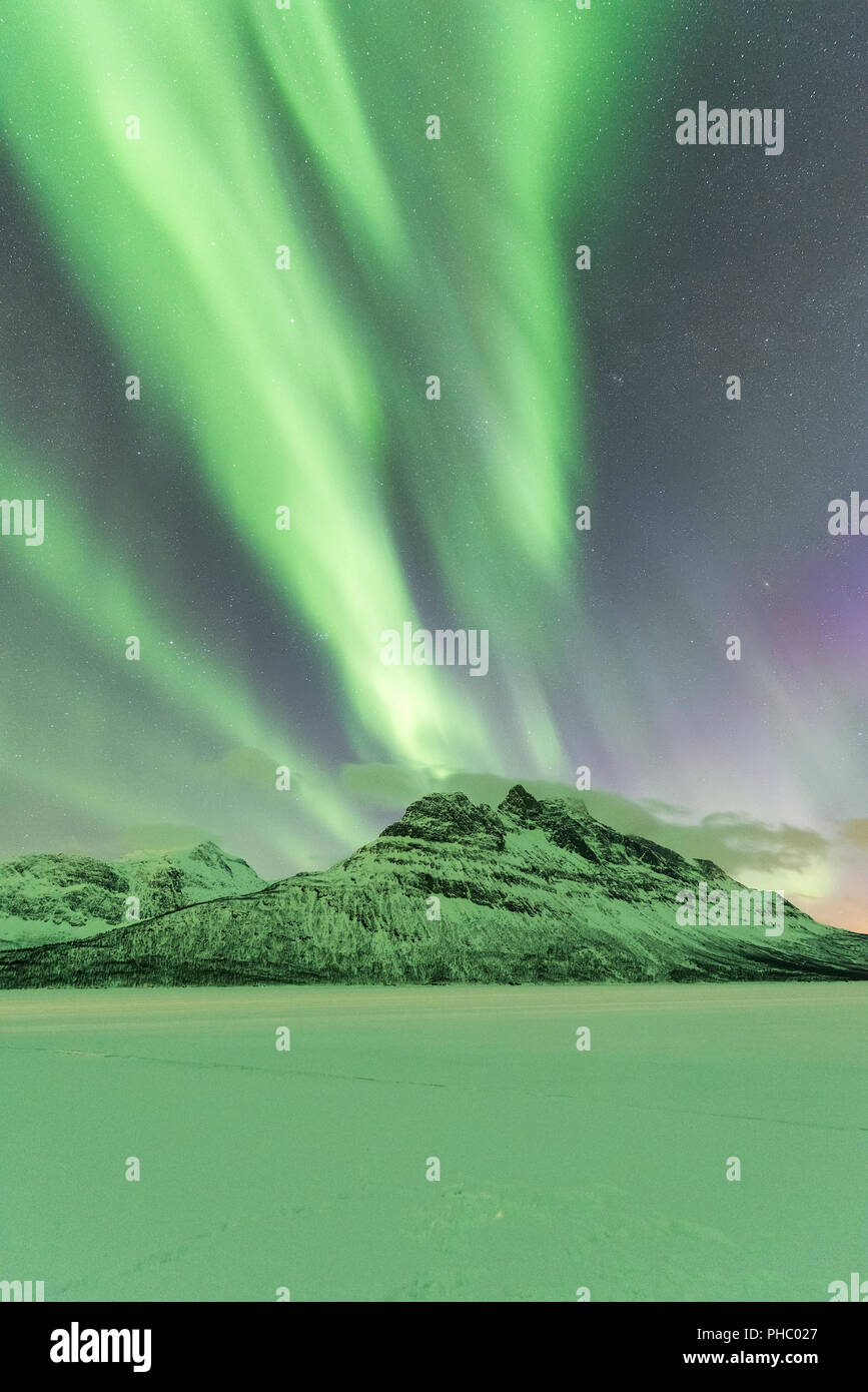 Luci del nord (Aurora boreale) sul lago ghiacciato Skoddebergvatnet, Grovfjord, Troms County, Isole Lofoten, Nordland, Norvegia, Europa Foto Stock