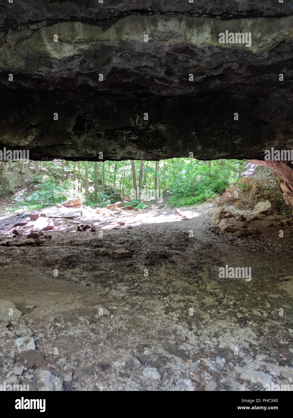 Il Ponte naturale, ha Ha Tonka parco dello Stato del Missouri Foto Stock