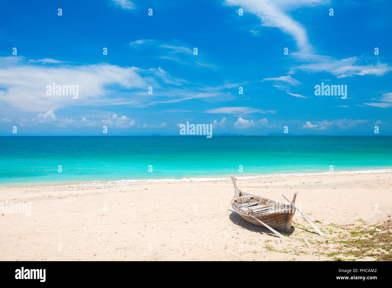 Estate verde erba e cielo Foto Stock