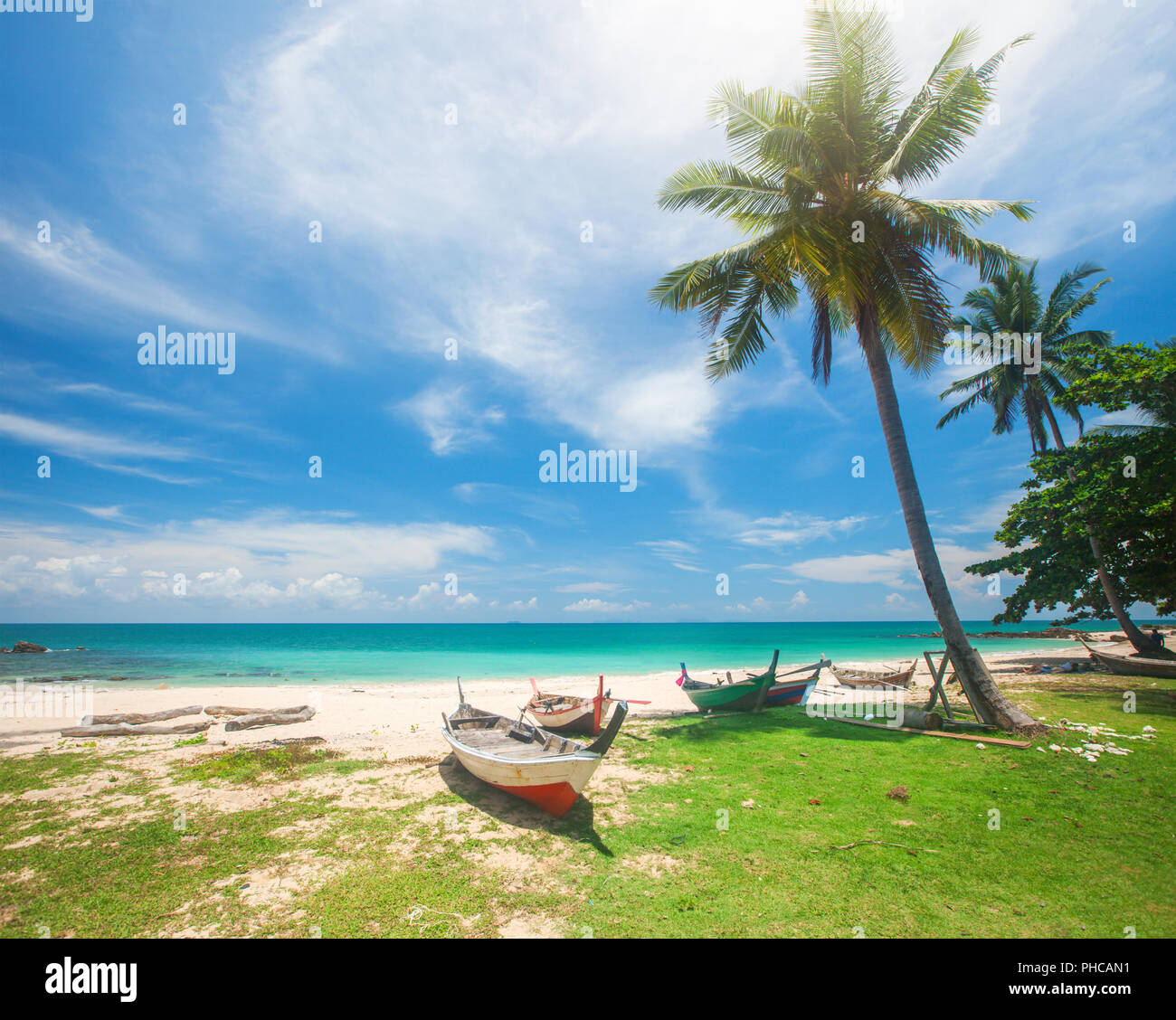 Estate verde erba e cielo Foto Stock
