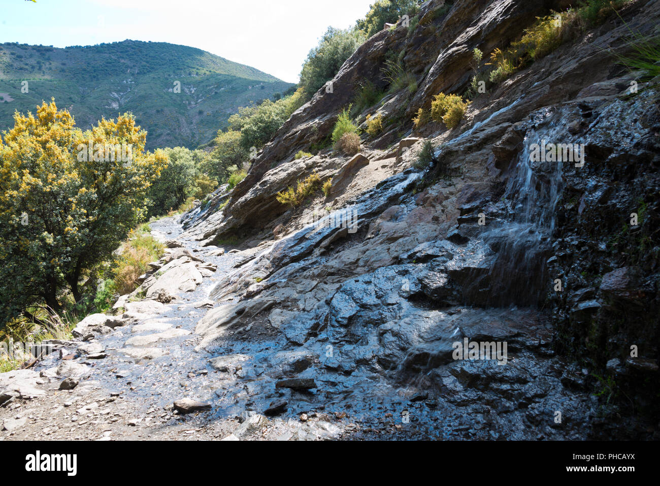 Sentiero di montagna immagini e fotografie stock ad alta risoluzione ...