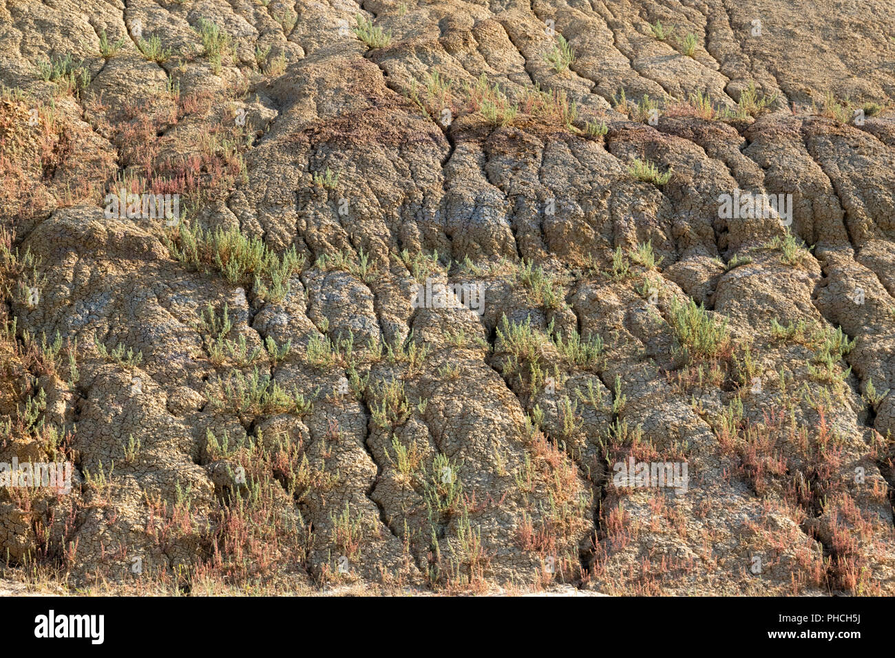 Abbandonato il suolo nel Parco nazionale Badlands, Dakota del Sud, STATI UNITI D'AMERICA Foto Stock
