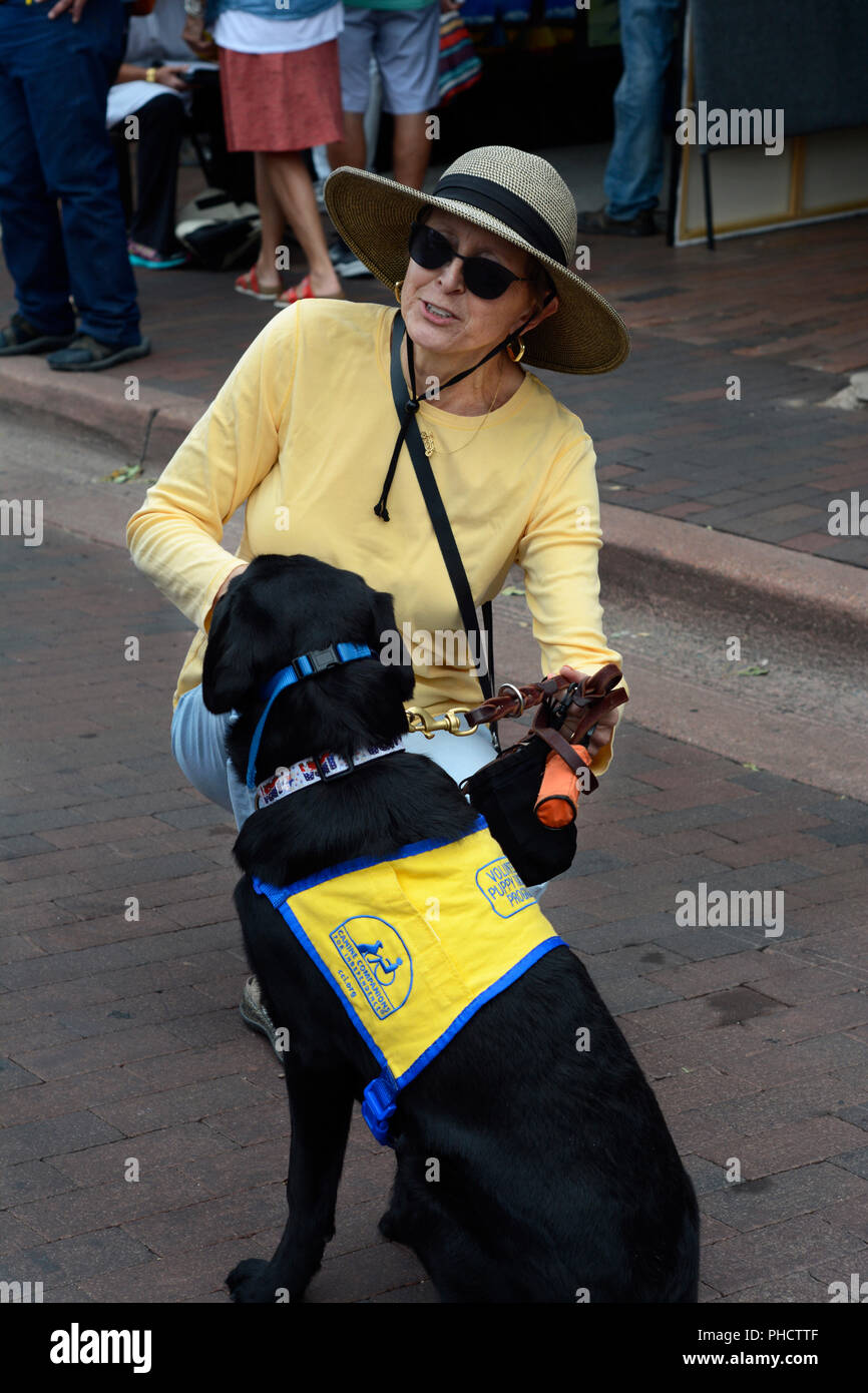 Un cucciolo di volontariato raiser per compagni canini per l'indipendenza cammina il suo cane a Santa Fe, New Mexico. Foto Stock