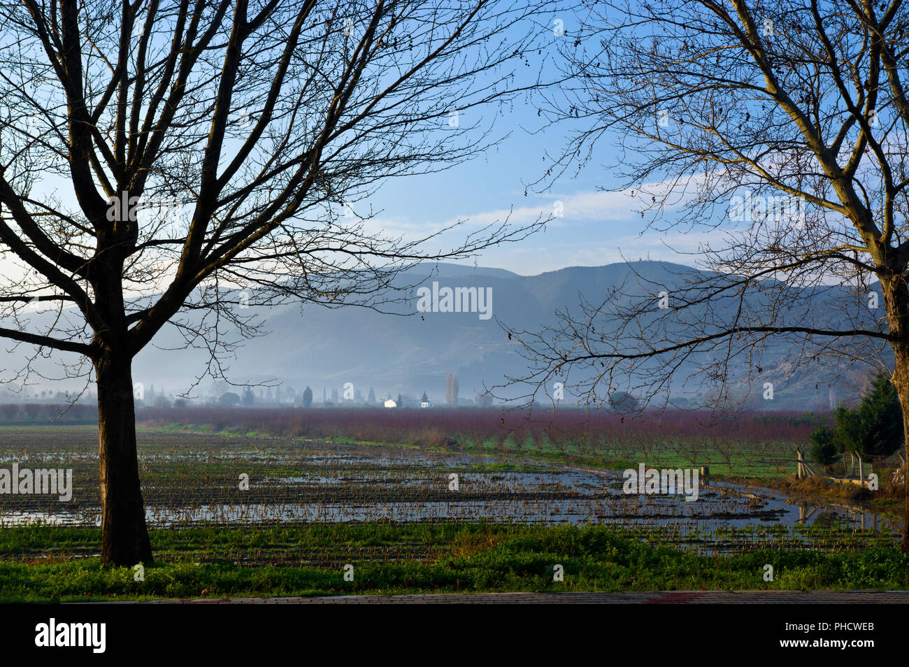 I campi in una nebbiosa mattina inverno a Selcuk, Turchia Foto Stock