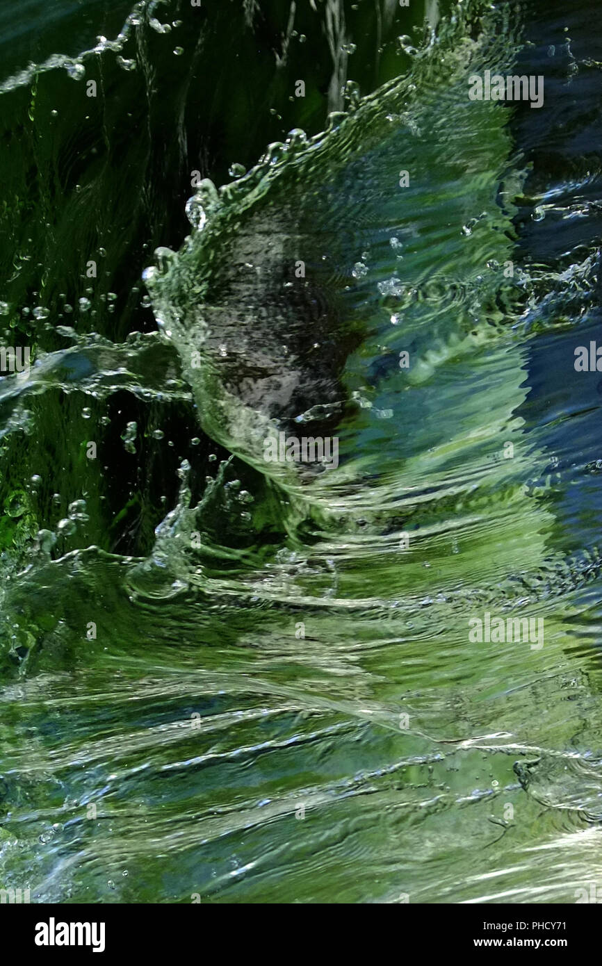 Acqua, uno dei quattro elementi Foto Stock