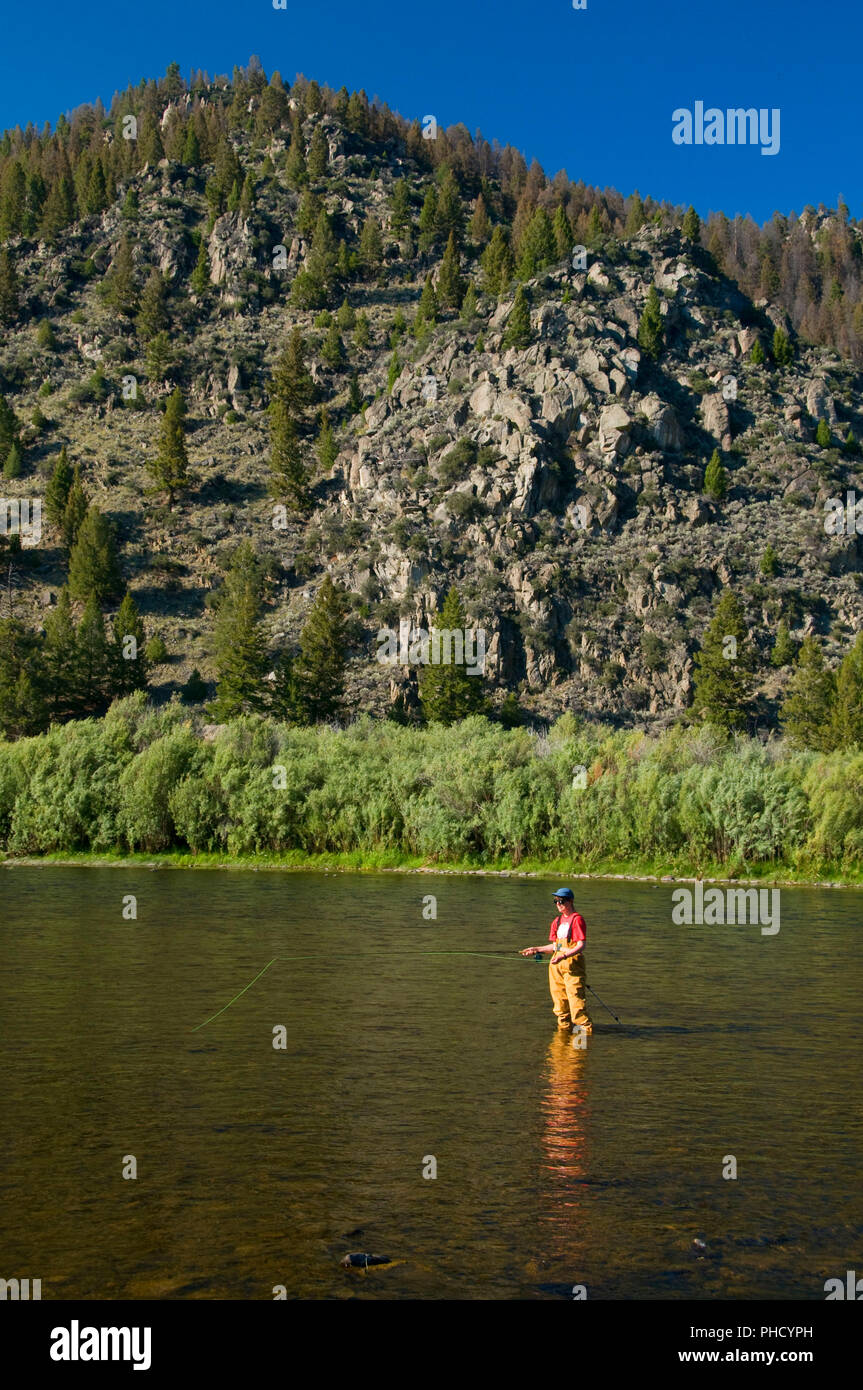 Pesca a Mosca il foro grande fiume, George Grant Memorial pesca sito di accesso, Montana Foto Stock