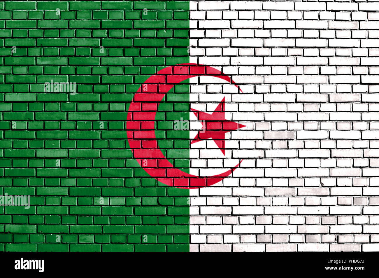 Bandiera di Algeria dipinta su un muro di mattoni Foto Stock