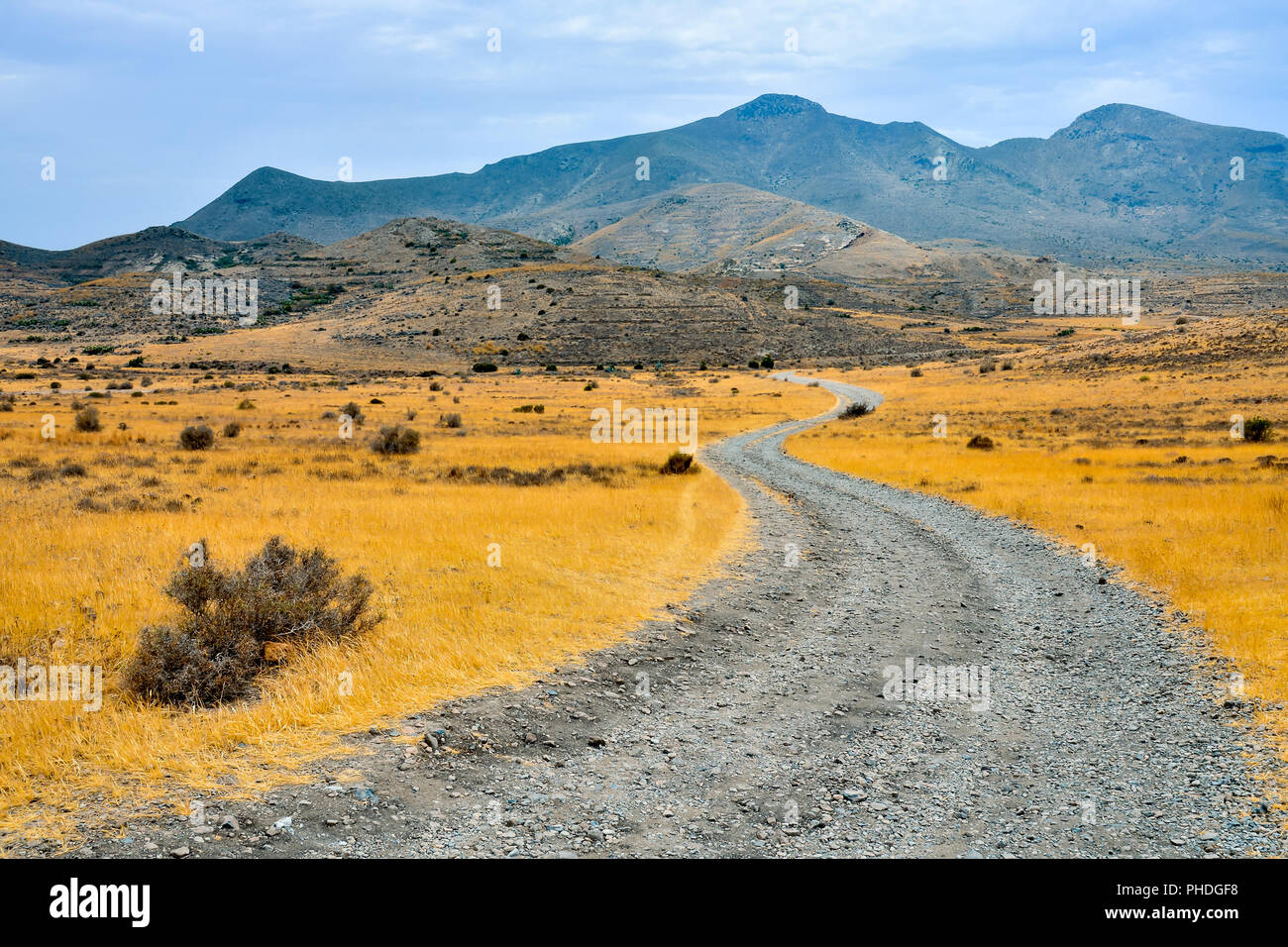 Paesaggio deserto percorso sporco Foto Stock