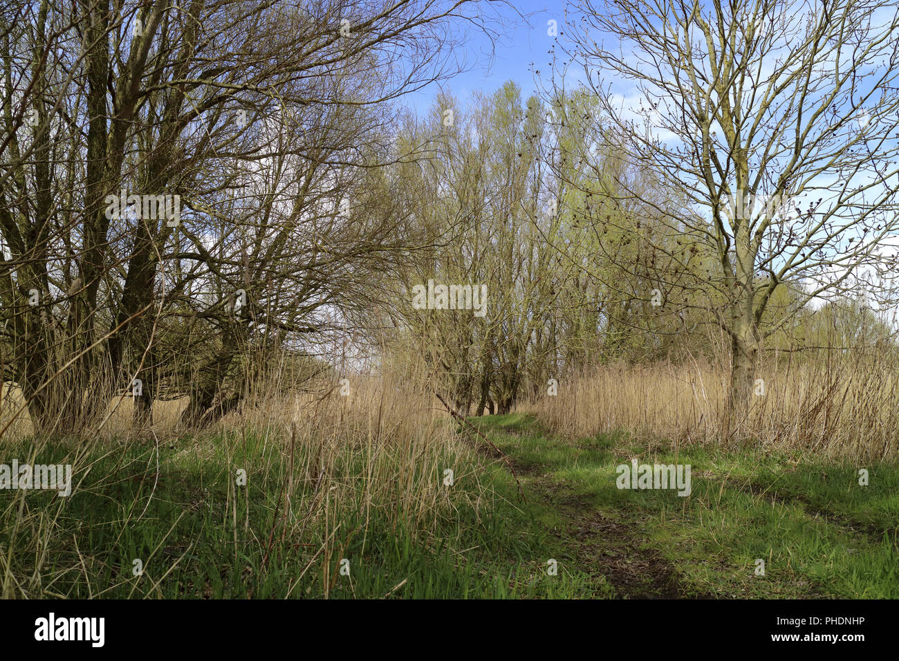 Via commerciale in foreland Foto Stock