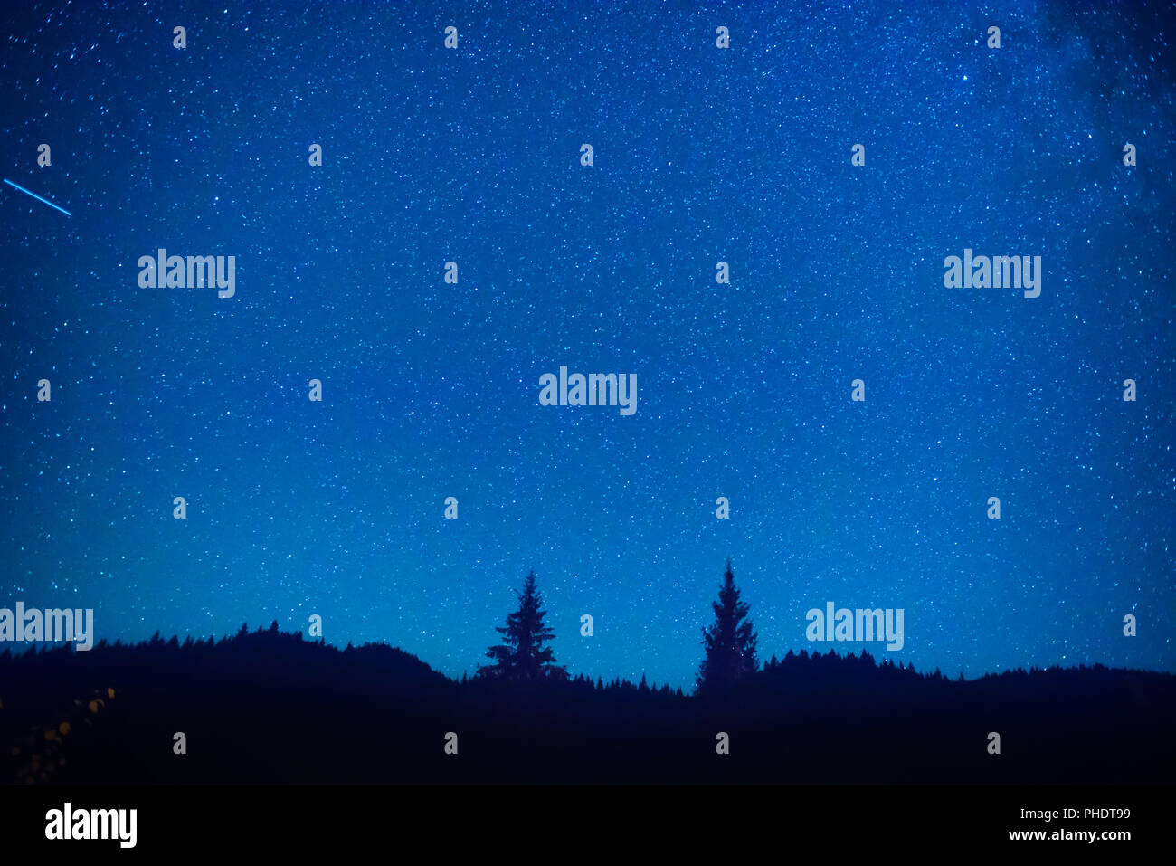 Blu scuro della notte il cielo sopra la foresta di mistero Foto Stock