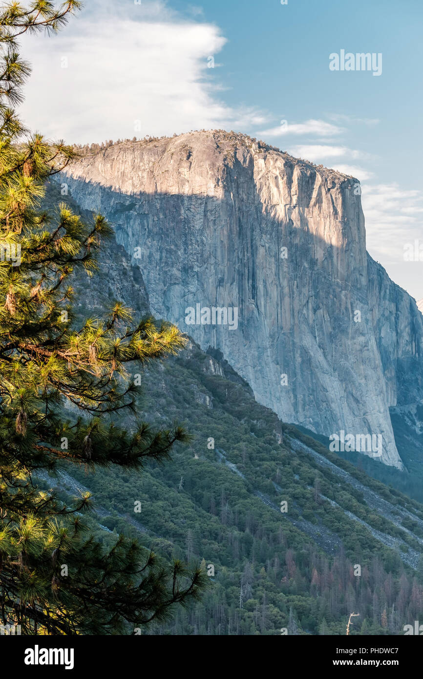 El Capitan rock formazione close-up nel Parco Nazionale di Yosemite Foto Stock