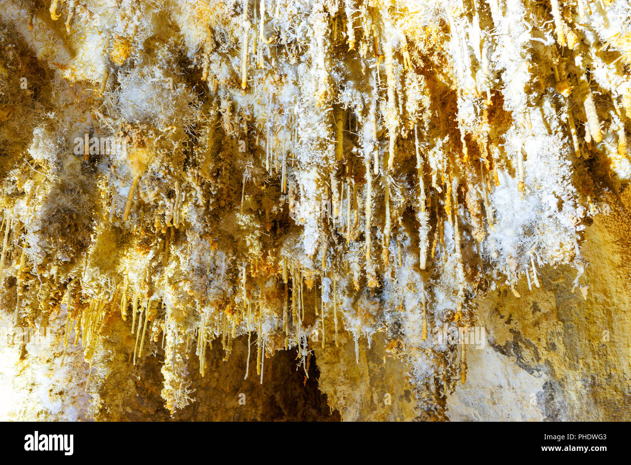 Molte stalattiti bianco all'interno della grotta Foto Stock