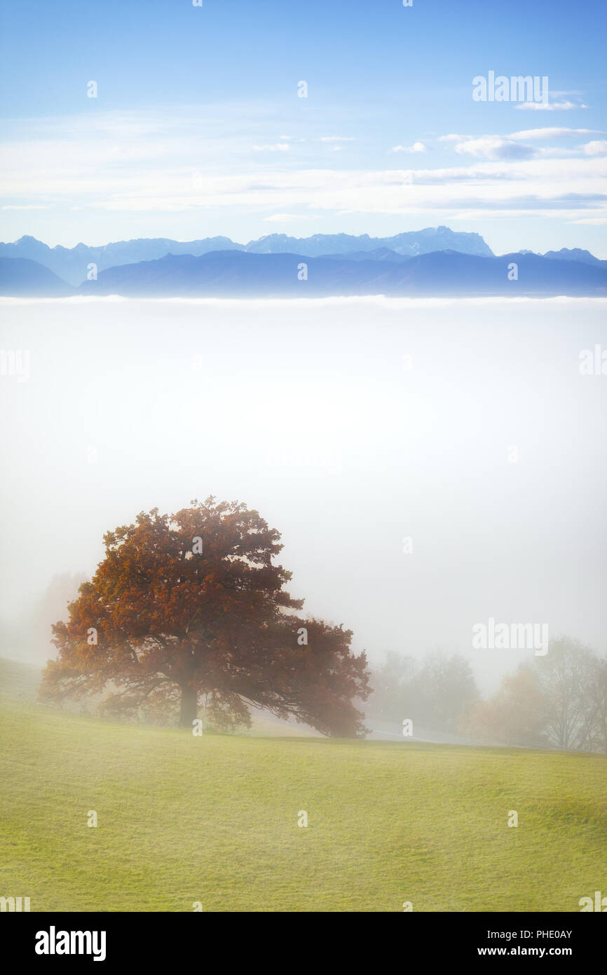 Paesaggio coperto di nebbia con le alpi in background Foto Stock