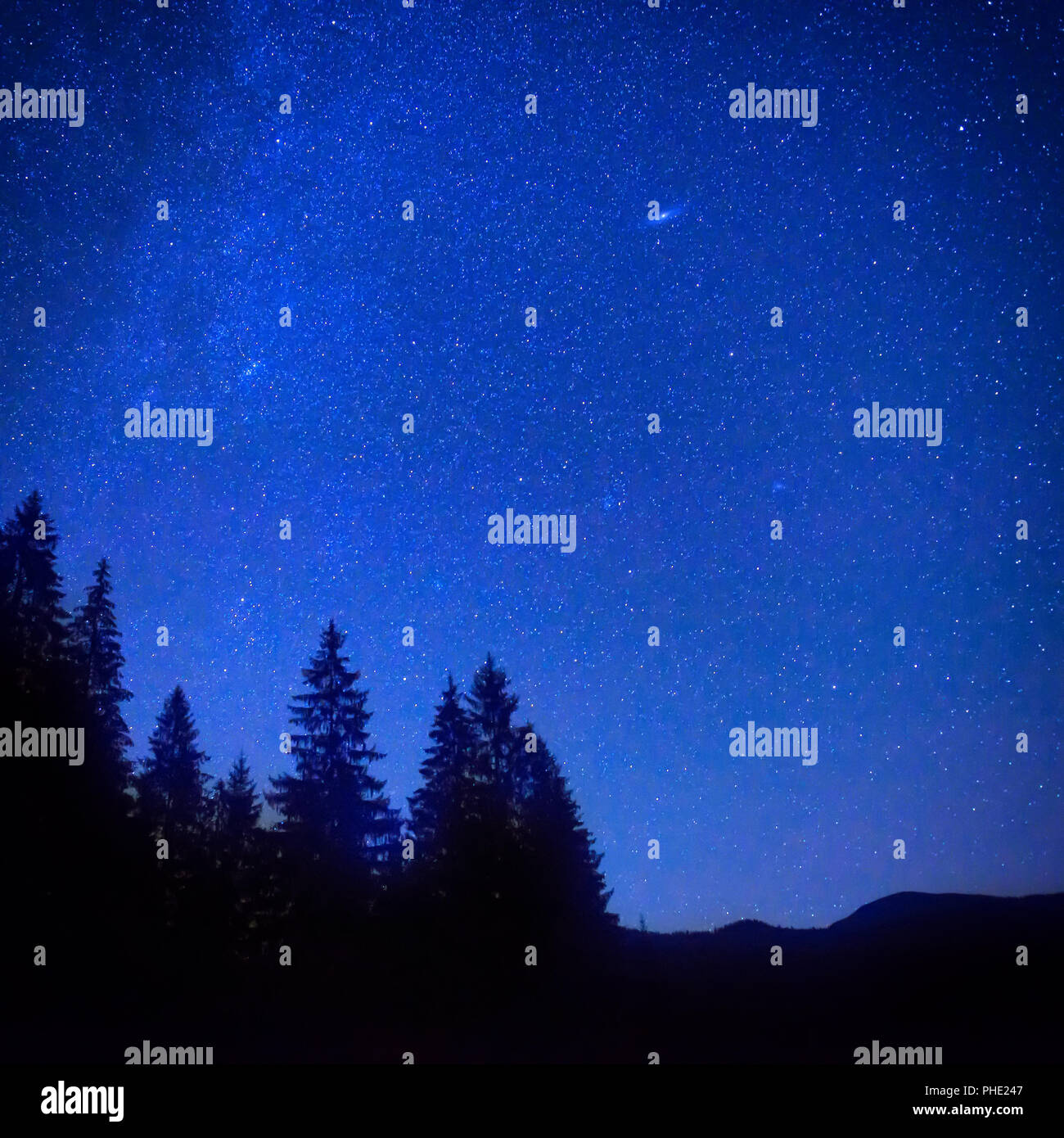 Blu scuro della notte il cielo sopra la foresta di mistero Foto Stock