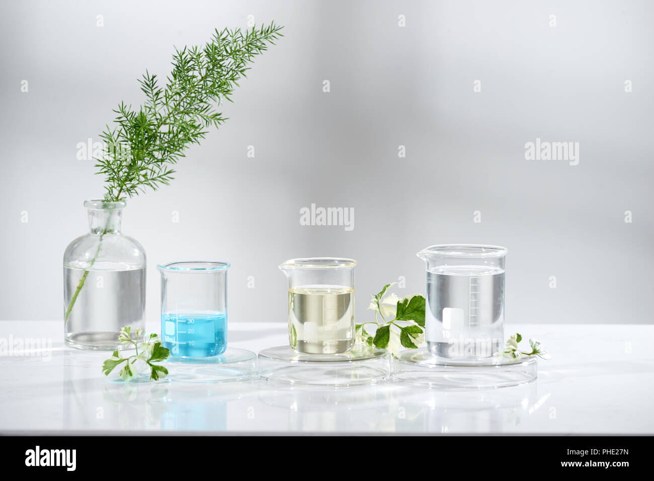 Esperimento di laboratorio e ricerca con foglia, olio e ingrediente estratto per la bellezza naturale e organico prodotto skincare la bottiglia vuota per etichetta ,b Foto Stock