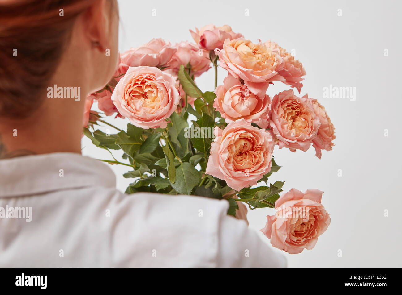 Bouquet di rose belle nelle mani di una ragazza Foto Stock