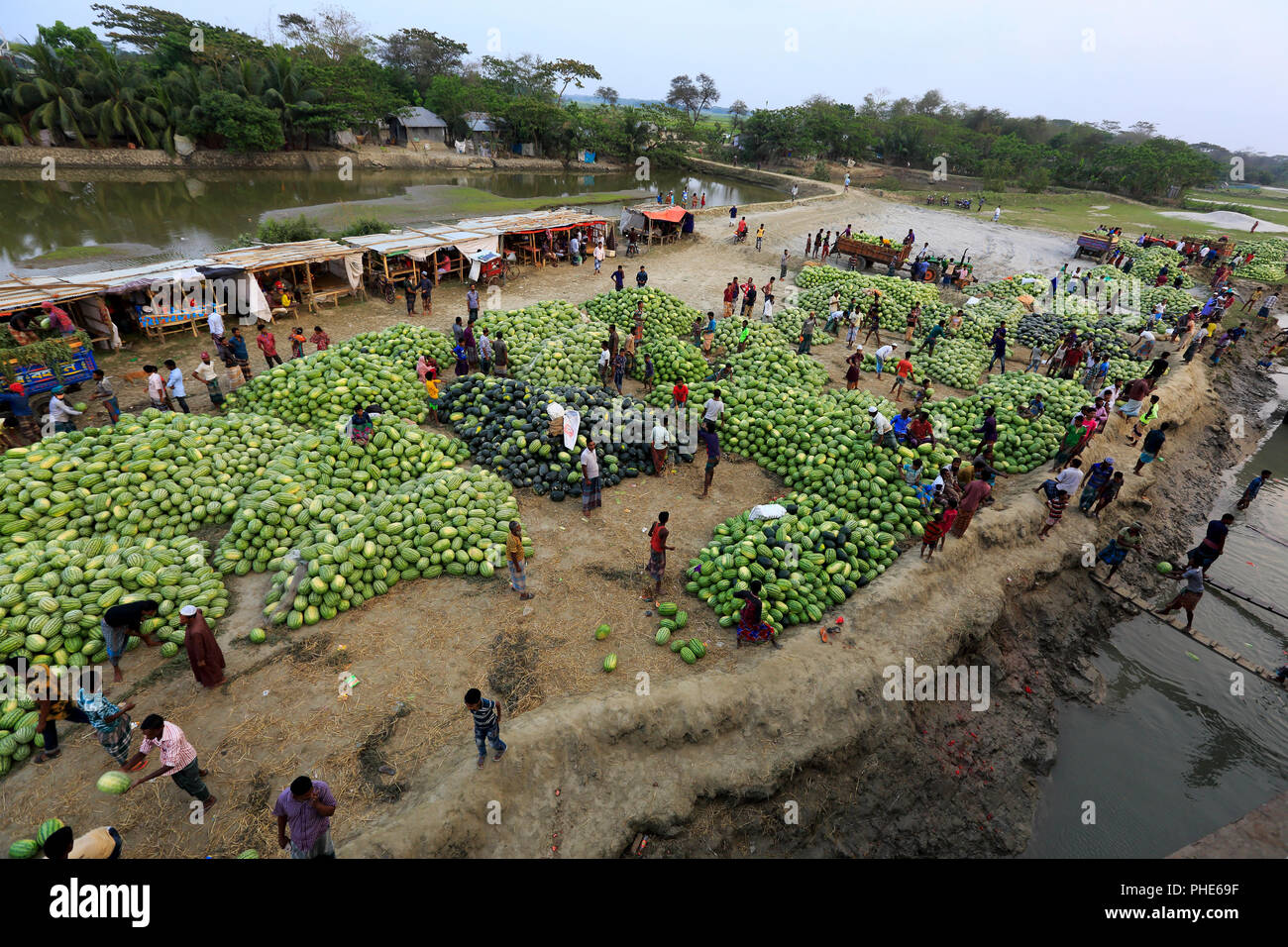 Una quantità enorme di appena raccolte anguria è portato per il trasporto sulla banca del fiume di Tetulia a Rangabali Upazila sotto Patuakhali distric Foto Stock