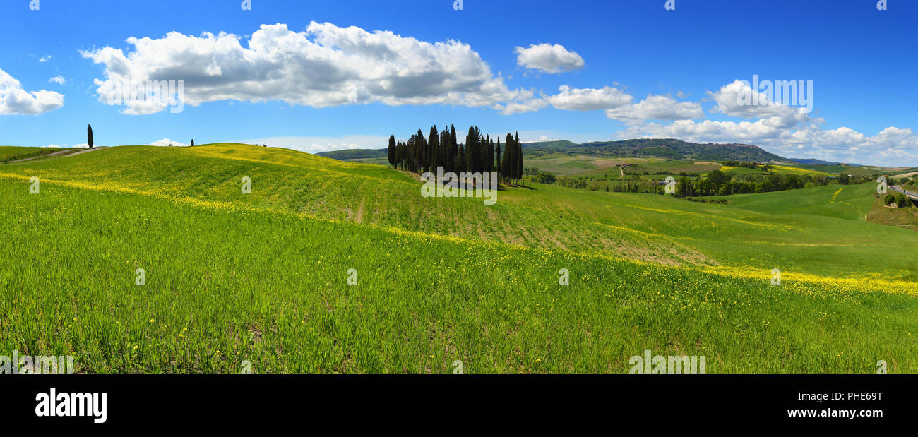Toscana panorama del paesaggio delle colline Foto Stock