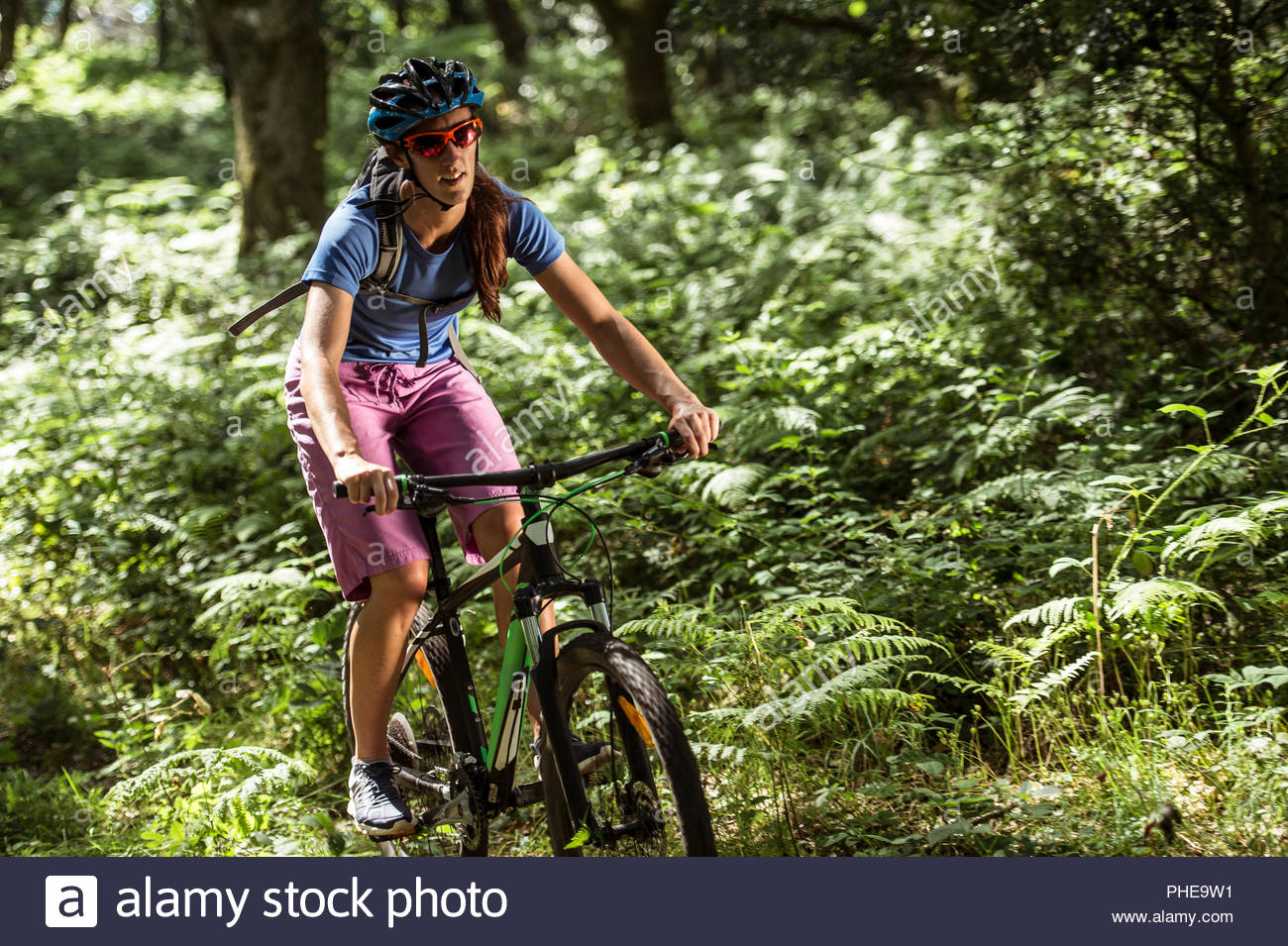 Uomo in mountain bike nella Foresta Foto Stock