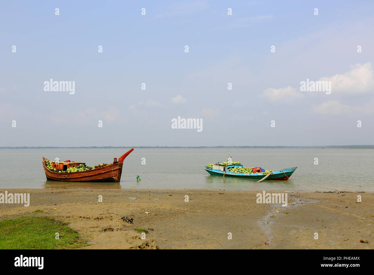 Trasporto di anguria in barca attraverso il Fiume Tetulia nel distretto di Patuakhali, Bangladesh Foto Stock