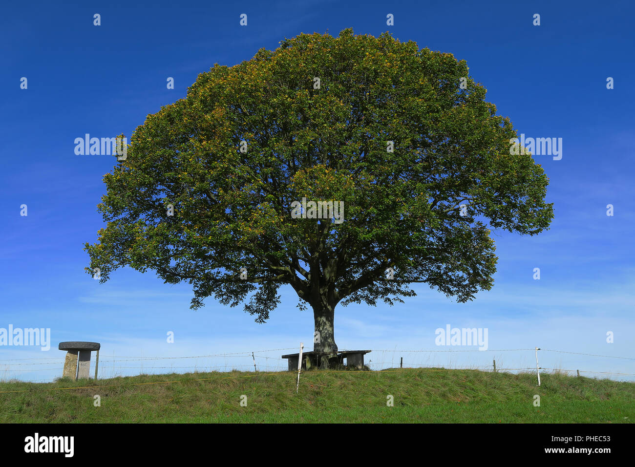 Limetere; paesaggio; paesaggio in estate; Foto Stock