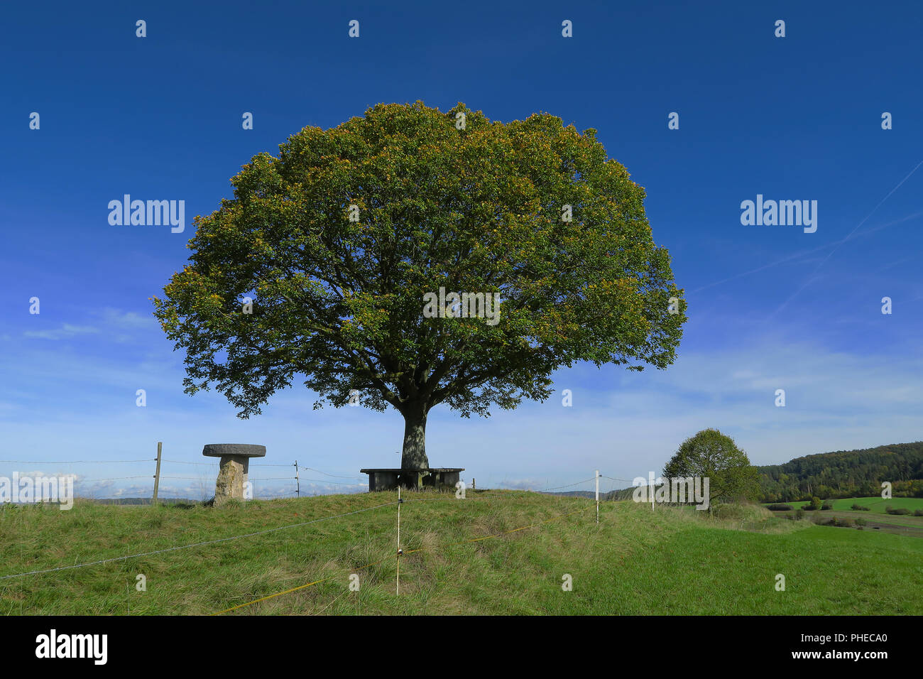 Limetere; paesaggio; paesaggio in estate; Foto Stock