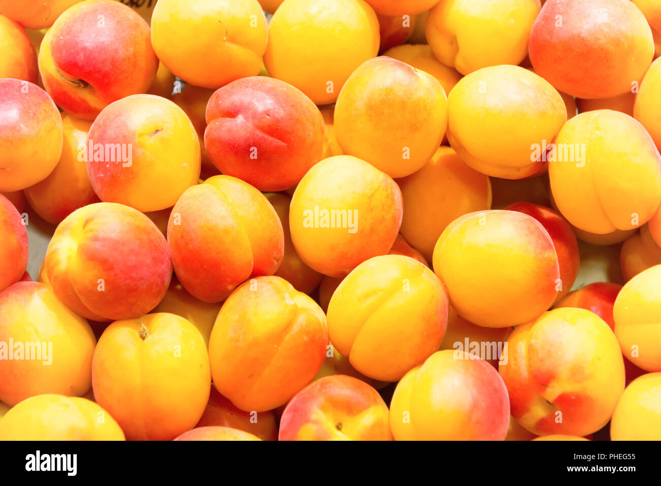 Molti fresche Albicocche sul mercato di fattoria Foto Stock
