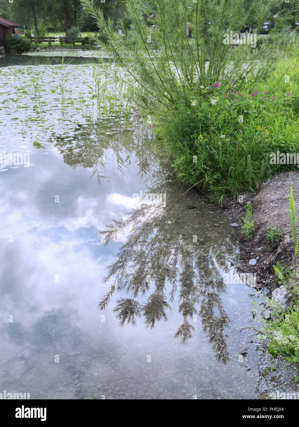 Lungomare sul lago Weissensee Foto Stock