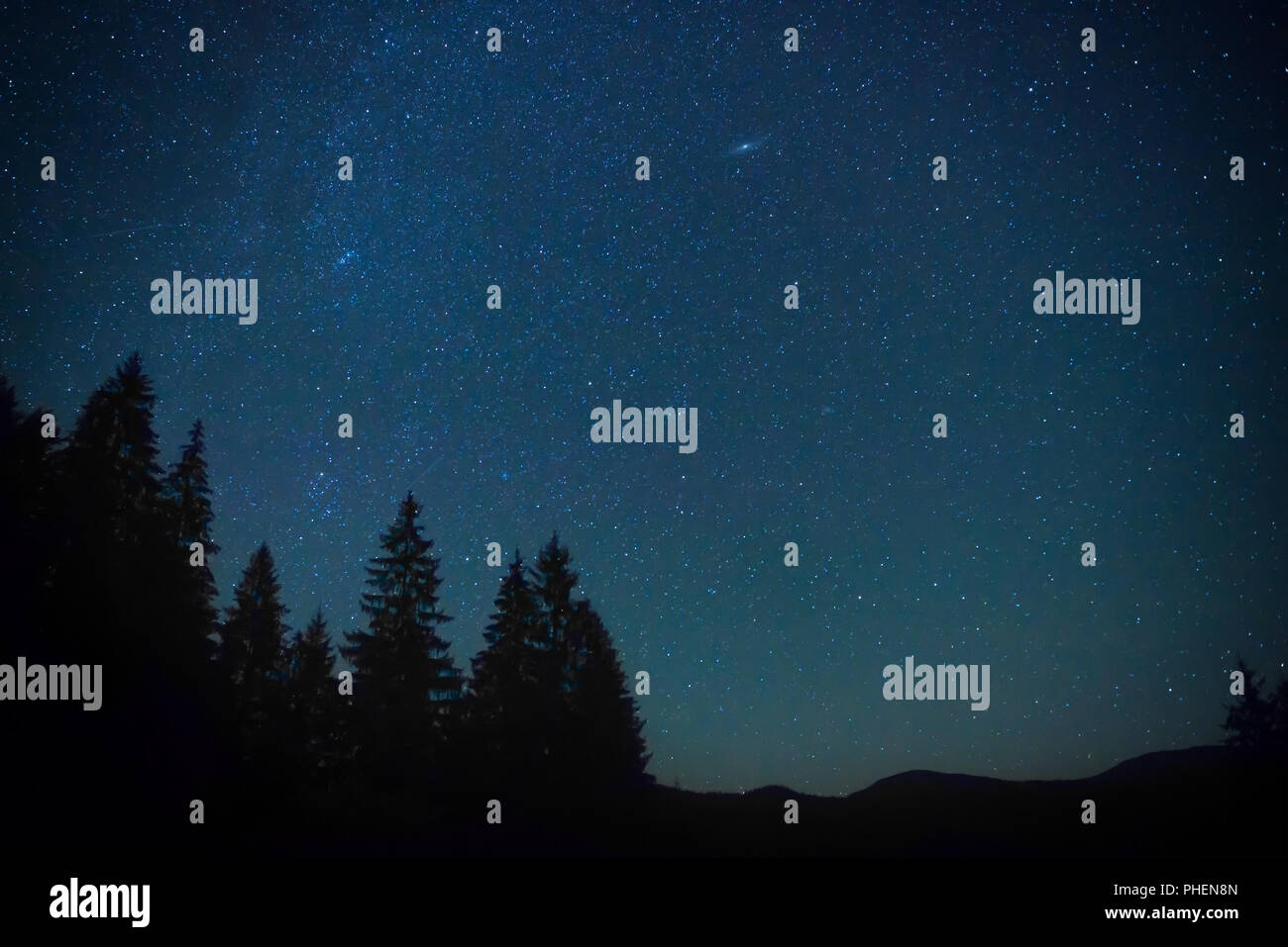 Blu scuro cielo notturno sopra il mistero forest Foto Stock