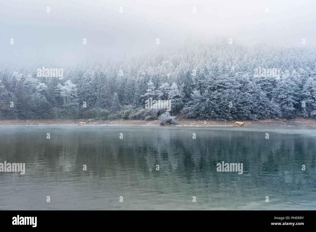 Laghi e foreste in inverno Foto Stock