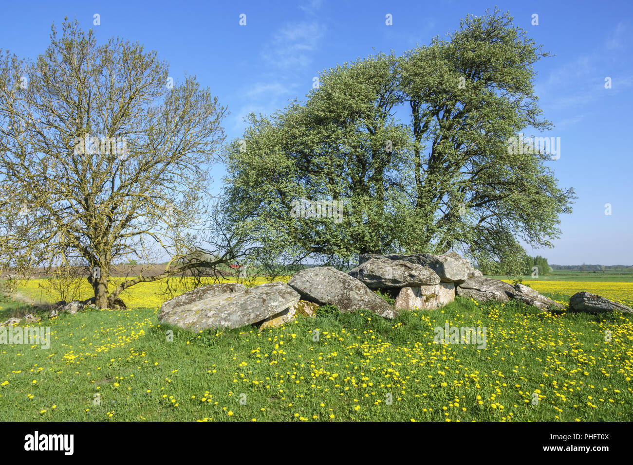 Tomba di passaggio su una collina in zone rurali paesaggio estivo Foto Stock