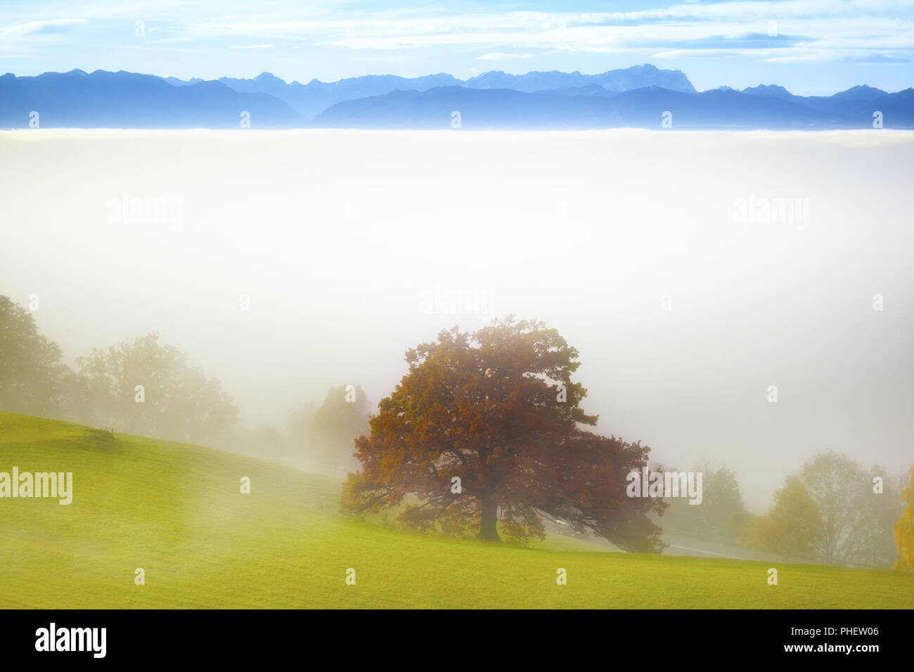Paesaggio coperto di nebbia con le alpi in background Foto Stock