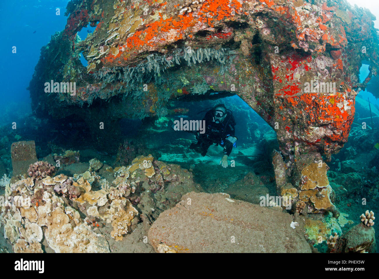 Un subacqueo nuota attraverso alcune delle rovine sommerse di Mala Wharf, che è stato distrutto da un uragano Iniki nel 1992. Crescita di coralli e la vita marina hanno Foto Stock