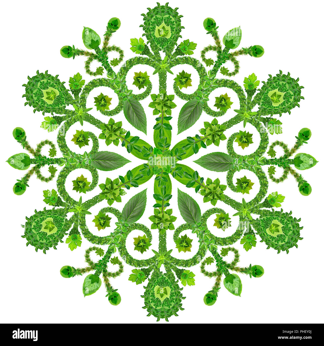 Il simbolo del fiocco di neve da verde fiori estivi Foto Stock