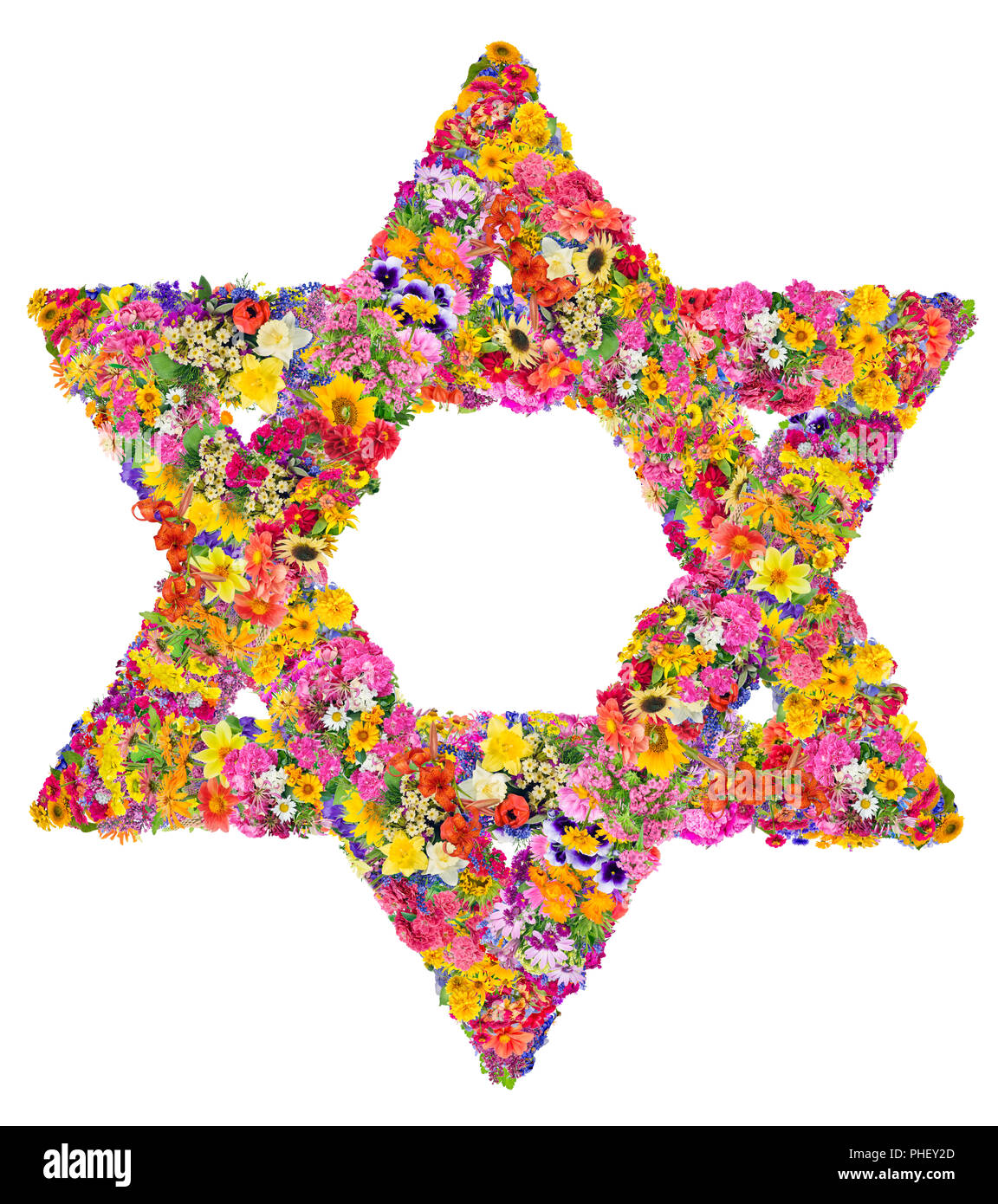 Stella di Davide da fiori Foto Stock